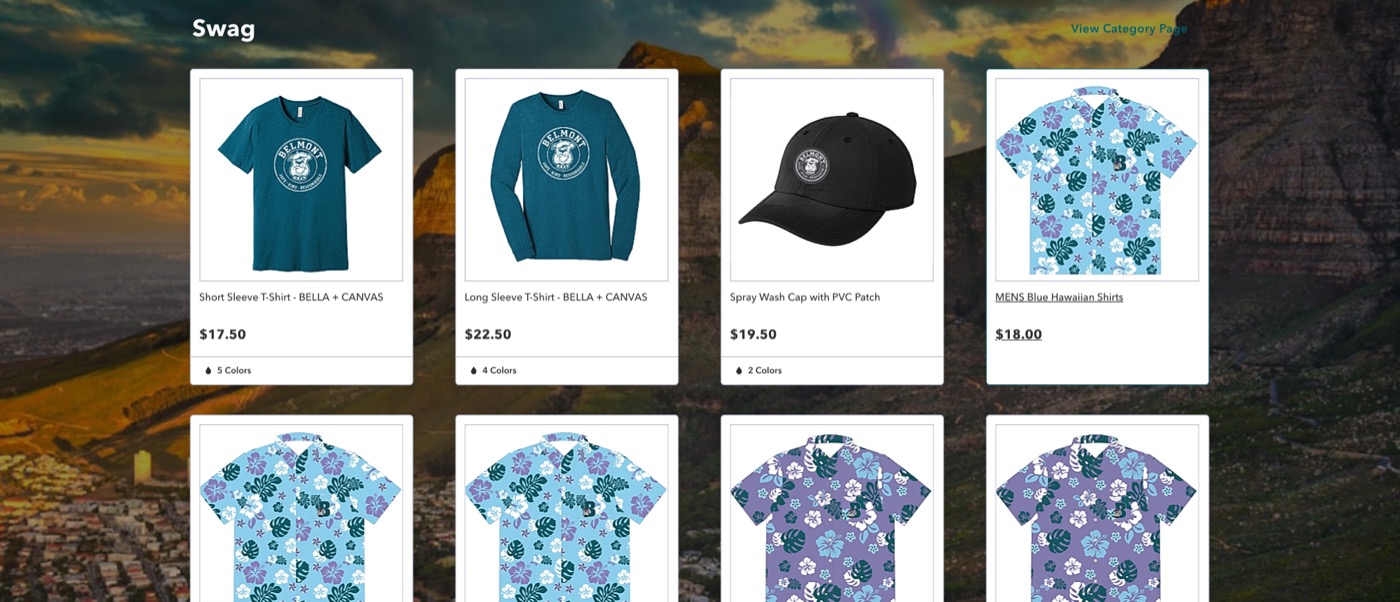 A store page showing tees, a cap and patterned shirts side by side, each priced.